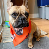 Custom Face Orange Pet Bandana